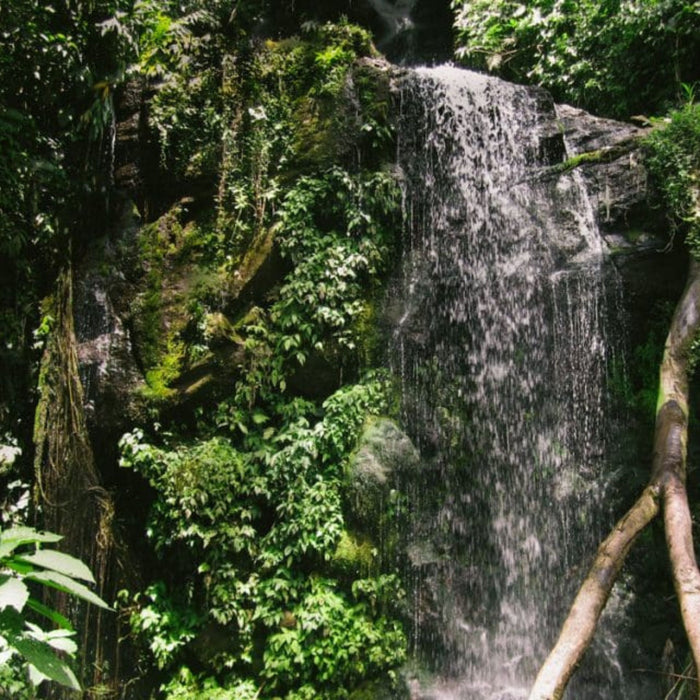 Aquiares Honey Filter