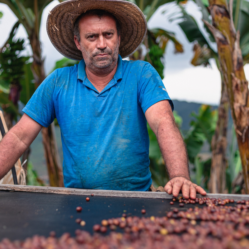 Wir lieben anaerobe Naturals, du auch? Warum fermentierte Aufbereitungen die Specialty-Coffee-Welt bewegen