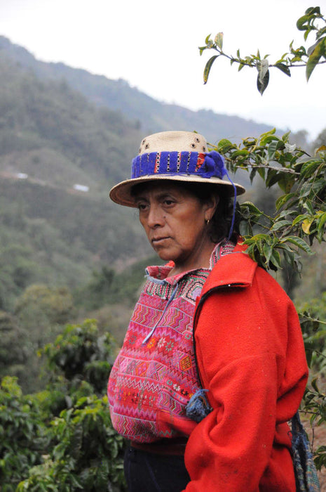 Women CODECH Guatemala Filter
