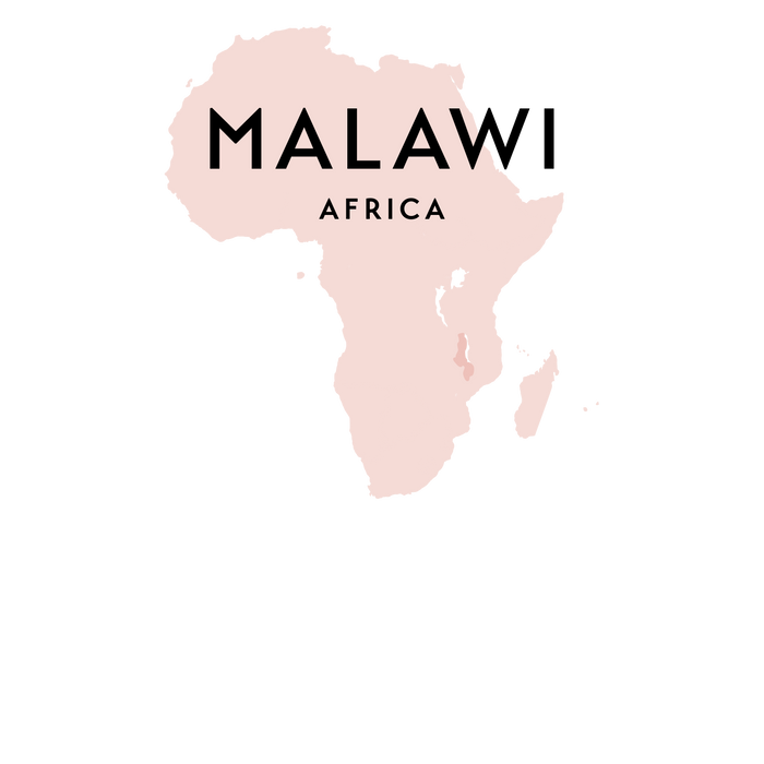 AA Plus Pamwamba Malawi Espresso