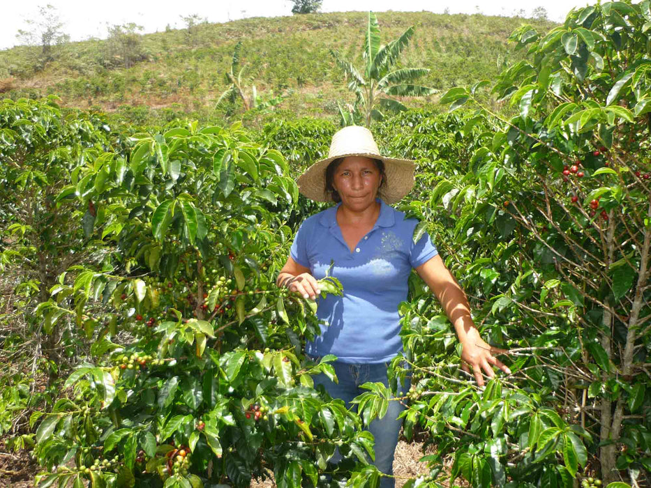 Women ASMUCAFE Filter