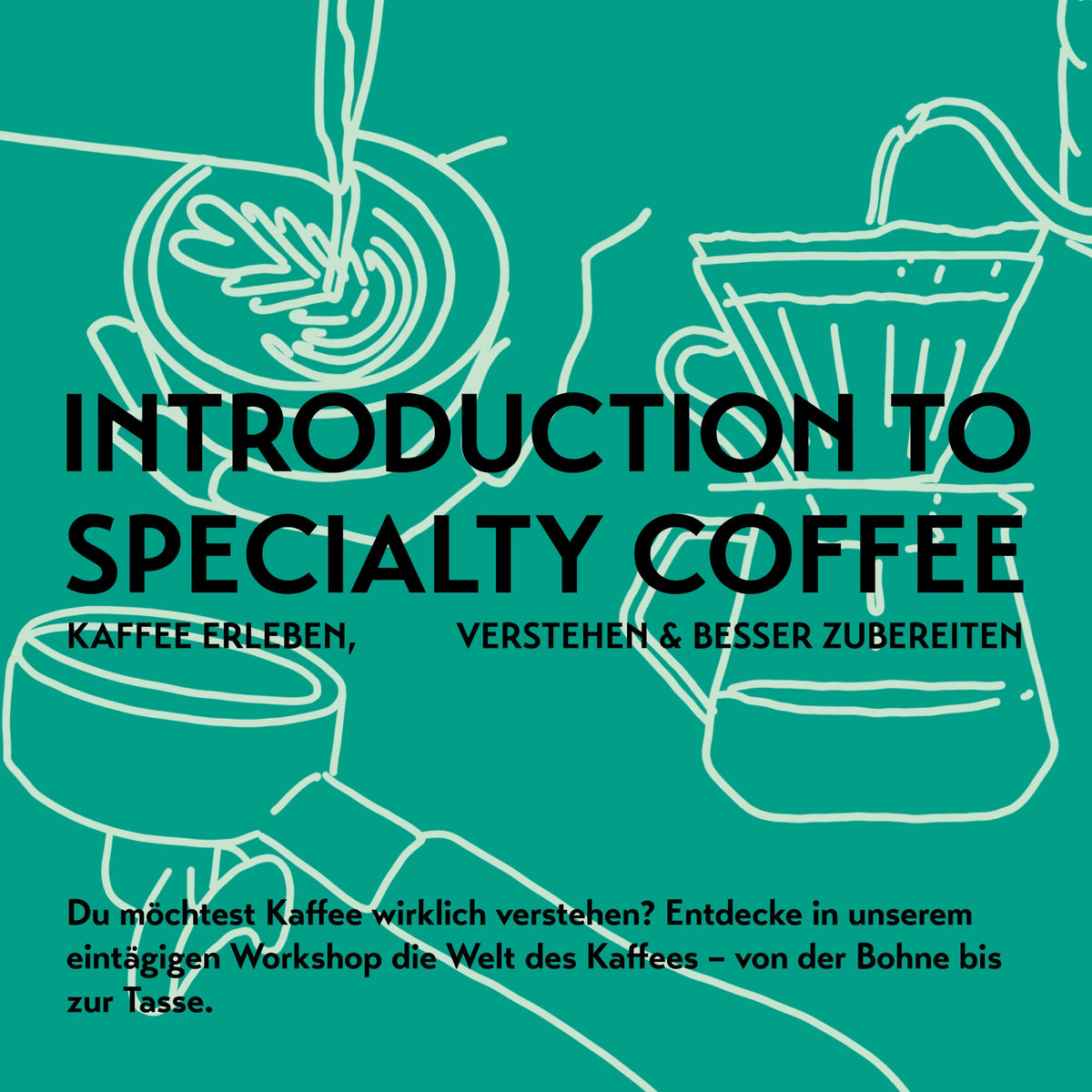 Kaffeekirsche Roastery Kursbild: Teilnehmer lernen bei "Introduction to Specialty Coffee" die Zubereitung von Spezialitätenkaffee.